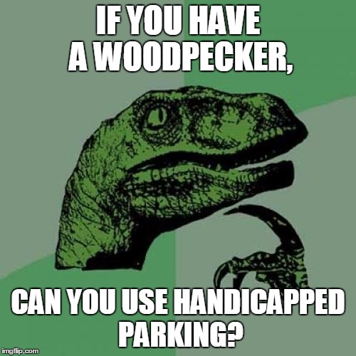 Philosoraptor | IF YOU HAVE A WOODPECKER, CAN YOU USE HANDICAPPED PARKING? | image tagged in memes,philosoraptor | made w/ Imgflip meme maker