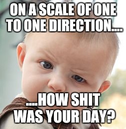 How bad was your day?... | ON A SCALE OF ONE TO ONE DIRECTION.... ....HOW SHIT WAS YOUR DAY? | image tagged in memes,skeptical baby,one direction,bad day | made w/ Imgflip meme maker