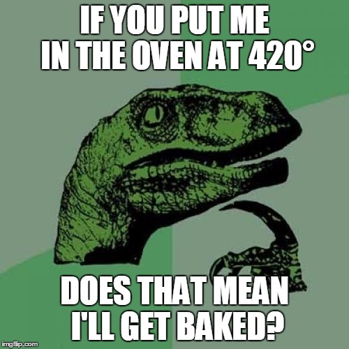 Philosoraptor wants to get high | IF YOU PUT ME IN THE OVEN AT 420° DOES THAT MEAN I'LL GET BAKED? | image tagged in memes,philosoraptor | made w/ Imgflip meme maker