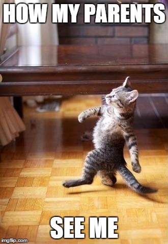 Cool Cat Stroll | HOW MY PARENTS SEE ME | image tagged in memes,cool cat stroll | made w/ Imgflip meme maker
