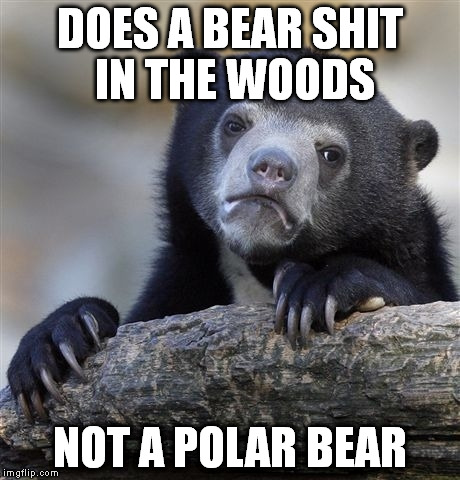 Confession Bear Meme | DOES A BEAR SHIT IN THE WOODS NOT A POLAR BEAR | image tagged in memes,confession bear | made w/ Imgflip meme maker