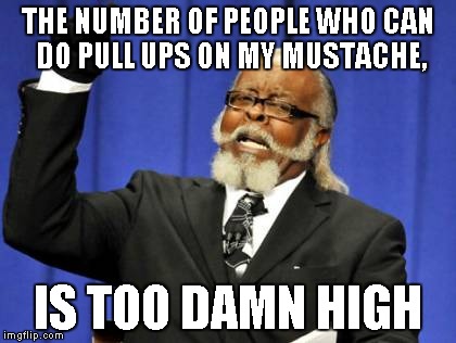 Too Damn High Meme | THE NUMBER OF PEOPLE WHO CAN DO PULL UPS ON MY MUSTACHE, IS TOO DAMN HIGH | image tagged in memes,too damn high | made w/ Imgflip meme maker