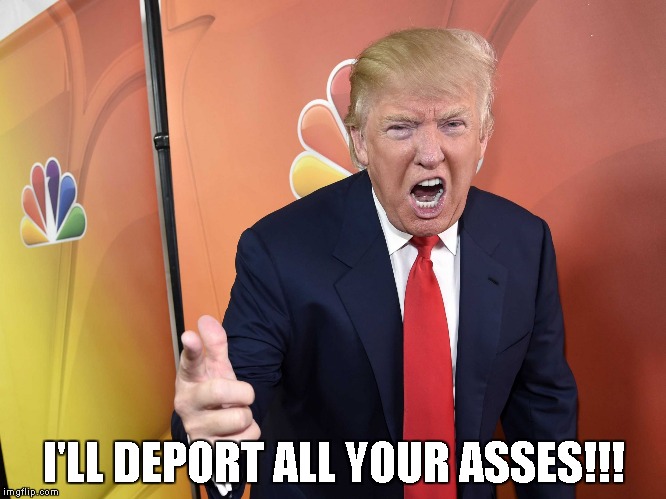 Trump Yelling | I'LL DEPORT ALL YOUR ASSES!!! | image tagged in trump yelling | made w/ Imgflip meme maker