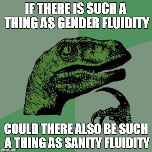 Philosoraptor Meme | IF THERE IS SUCH A THING AS GENDER FLUIDITY COULD THERE ALSO BE SUCH A THING AS SANITY FLUIDITY | image tagged in memes,philosoraptor | made w/ Imgflip meme maker