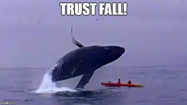 Whale Trust Fall | TRUST FALL! | image tagged in whale trust fall | made w/ Imgflip meme maker