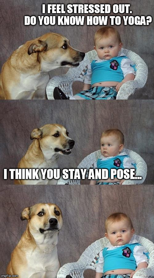 Dad Joke Dog Meme | I FEEL STRESSED OUT. DO YOU KNOW HOW TO YOGA? I THINK YOU STAY AND POSE... | image tagged in memes,dad joke dog | made w/ Imgflip meme maker