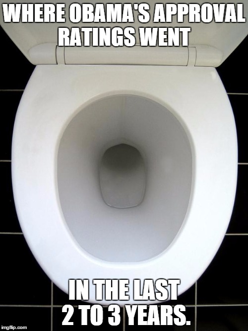 TOILET | WHERE OBAMA'S APPROVAL RATINGS WENT IN THE LAST 2 TO 3 YEARS. | image tagged in toilet,memes,barack obama | made w/ Imgflip meme maker