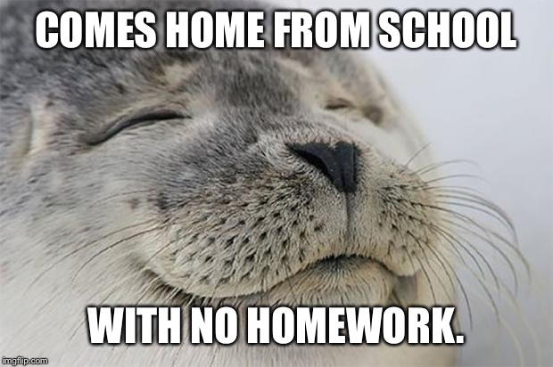 Satisfied Seal | COMES HOME FROM SCHOOL WITH NO HOMEWORK. | image tagged in memes,satisfied seal | made w/ Imgflip meme maker