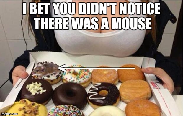 Oh Wow! Doughnuts! | I BET YOU DIDN'T NOTICE THERE WAS A MOUSE < _______________ | image tagged in oh wow doughnuts | made w/ Imgflip meme maker