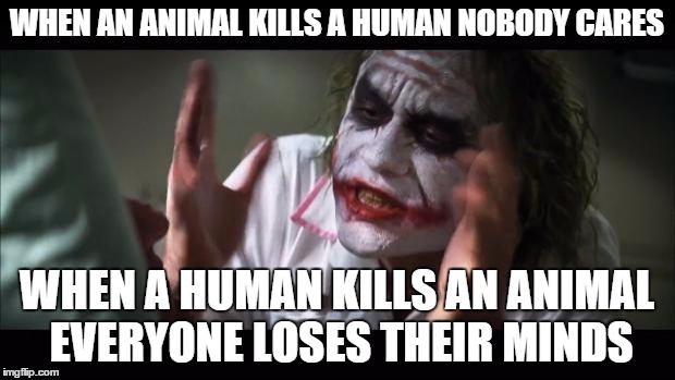 And everybody loses their minds | WHEN AN ANIMAL KILLS A HUMAN NOBODY CARES WHEN A HUMAN KILLS AN ANIMAL EVERYONE LOSES THEIR MINDS | image tagged in memes,and everybody loses their minds | made w/ Imgflip meme maker