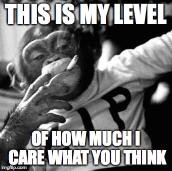 because fuck you, thats why | THIS IS MY LEVEL OF HOW MUCH I CARE WHAT YOU THINK | image tagged in because fuck you thats why | made w/ Imgflip meme maker