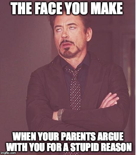 Face You Make Robert Downey Jr Meme | THE FACE YOU MAKE WHEN YOUR PARENTS ARGUE WITH YOU FOR A STUPID REASON | image tagged in memes,face you make robert downey jr | made w/ Imgflip meme maker