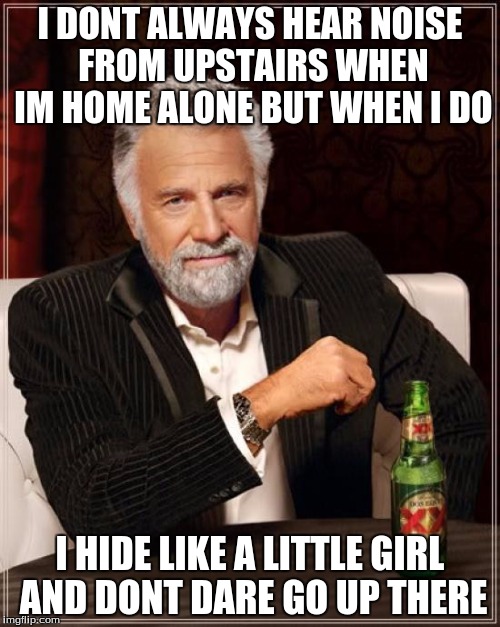 The Most Interesting Man In The World | I DONT ALWAYS HEAR NOISE FROM UPSTAIRS WHEN IM HOME ALONE BUT WHEN I DO I HIDE LIKE A LITTLE GIRL AND DONT DARE GO UP THERE | image tagged in memes,the most interesting man in the world | made w/ Imgflip meme maker