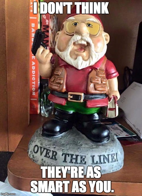 I DON'T THINK THEY'RE AS SMART AS YOU. | image tagged in am i the only gnome around here | made w/ Imgflip meme maker