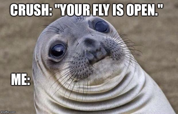 Awkward Moment Sealion | CRUSH: "YOUR FLY IS OPEN." ME: | image tagged in memes,awkward moment sealion | made w/ Imgflip meme maker