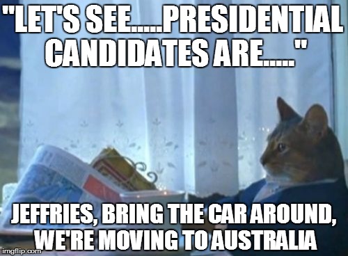 I Should Buy A Boat Cat Meme | "LET'S SEE.....PRESIDENTIAL CANDIDATES ARE....." JEFFRIES, BRING THE CAR AROUND, WE'RE MOVING TO AUSTRALIA | image tagged in memes,i should buy a boat cat | made w/ Imgflip meme maker