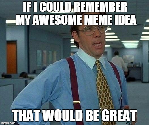 That Would Be Great Meme | IF I COULD REMEMBER MY AWESOME MEME IDEA THAT WOULD BE GREAT | image tagged in memes,that would be great | made w/ Imgflip meme maker