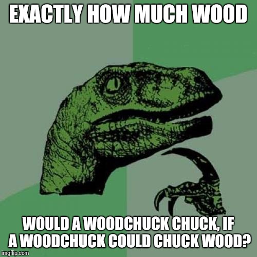 Philosoraptor | EXACTLY HOW MUCH WOOD WOULD A WOODCHUCK CHUCK, IF A WOODCHUCK COULD CHUCK WOOD? | image tagged in memes,philosoraptor | made w/ Imgflip meme maker