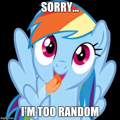 Rainbow Dash funny | SORRY... I'M TOO RANDOM | image tagged in rainbow dash funny | made w/ Imgflip meme maker