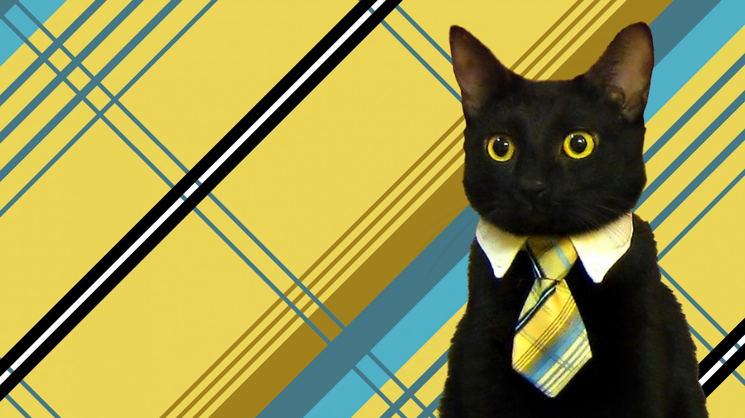 High Quality Business Cat Blank Meme Template