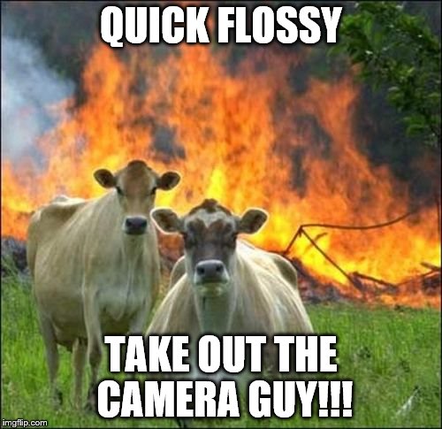 When cows unite | QUICK FLOSSY TAKE OUT THE CAMERA GUY!!! | image tagged in memes,evil cows,cows | made w/ Imgflip meme maker