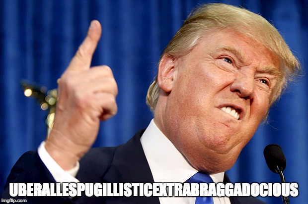 Donald Trump | UBERALLESPUGILLISTICEXTRABRAGGADOCIOUS | image tagged in donald trump | made w/ Imgflip meme maker
