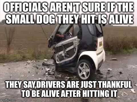 OFFICIALS AREN'T SURE IF THE SMALL DOG THEY HIT IS ALIVE THEY SAY,DRIVERS ARE JUST THANKFUL TO BE ALIVE AFTER HITTING IT | image tagged in cars,funny memes | made w/ Imgflip meme maker