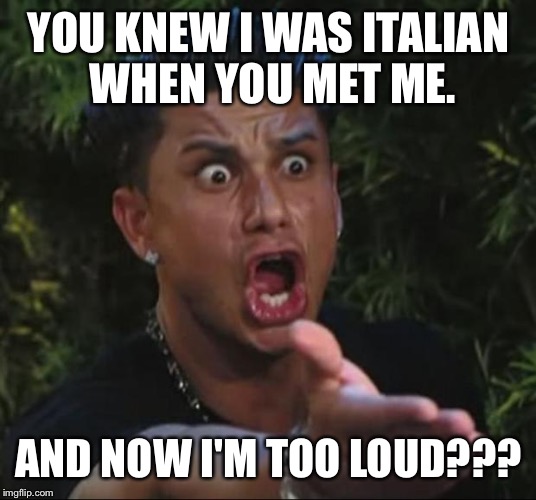 DJ Pauly D Meme | YOU KNEW I WAS ITALIAN WHEN YOU MET ME. AND NOW I'M TOO LOUD??? | image tagged in memes,dj pauly d | made w/ Imgflip meme maker