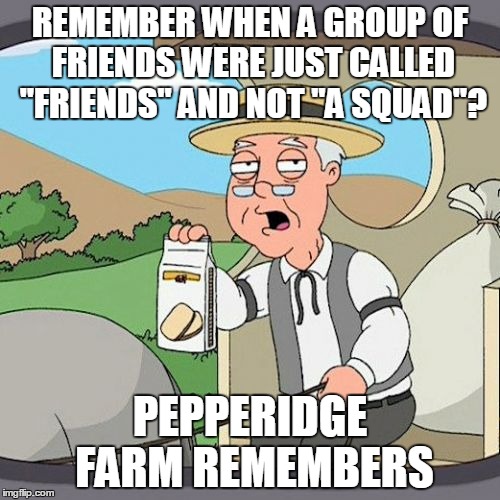 Pepperidge Farm Remembers Meme | REMEMBER WHEN A GROUP OF FRIENDS WERE JUST CALLED "FRIENDS" AND NOT "A SQUAD"? PEPPERIDGE FARM REMEMBERS | image tagged in memes,pepperidge farm remembers | made w/ Imgflip meme maker