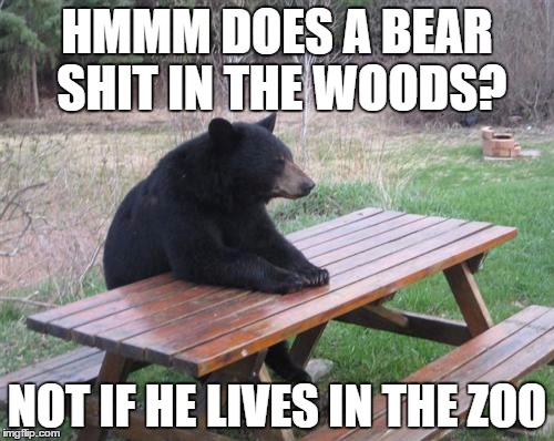 Bad Luck Bear Meme | HMMM DOES A BEAR SHIT IN THE WOODS? NOT IF HE LIVES IN THE ZOO | image tagged in memes,bad luck bear | made w/ Imgflip meme maker