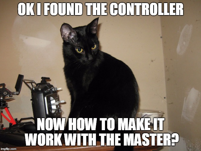 OK I FOUND THE CONTROLLER NOW HOW TO MAKE IT WORK WITH THE MASTER? | image tagged in black cat | made w/ Imgflip meme maker