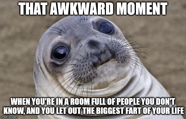 Awkward Moment Sealion Meme | THAT AWKWARD MOMENT WHEN YOU'RE IN A ROOM FULL OF PEOPLE YOU DON'T KNOW, AND YOU LET OUT THE BIGGEST FART OF YOUR LIFE | image tagged in memes,awkward moment sealion | made w/ Imgflip meme maker