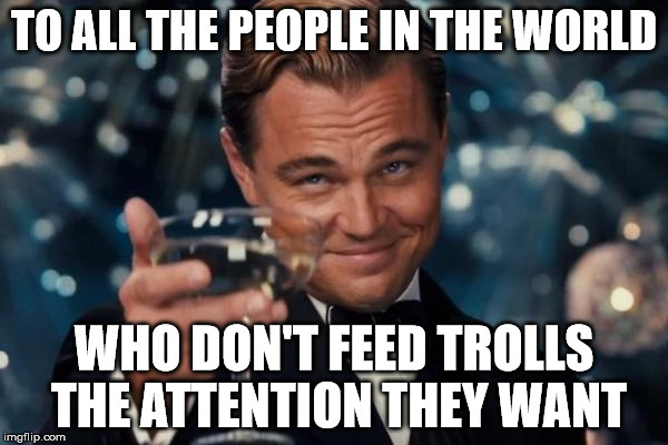 Leonardo Dicaprio Cheers Meme | TO ALL THE PEOPLE IN THE WORLD WHO DON'T FEED TROLLS THE ATTENTION THEY WANT | image tagged in memes,leonardo dicaprio cheers | made w/ Imgflip meme maker