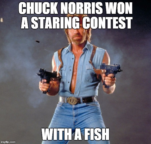 Fish don't have eyelids... get it! | CHUCK NORRIS WON A STARING CONTEST WITH A FISH | image tagged in chuck norris | made w/ Imgflip meme maker