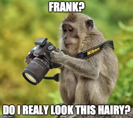 Photographer monkey | FRANK? DO I REALY LOOK THIS HAIRY? | image tagged in photographer monkey | made w/ Imgflip meme maker