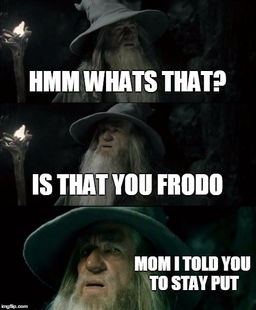 Confused Gandalf | HMM WHATS THAT? IS THAT YOU FRODO MOM I TOLD YOU TO STAY PUT | image tagged in memes,confused gandalf | made w/ Imgflip meme maker