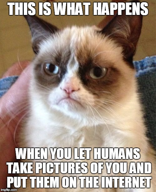 Grumpy Cat Meme | THIS IS WHAT HAPPENS WHEN YOU LET HUMANS TAKE PICTURES OF YOU AND PUT THEM ON THE INTERNET | image tagged in memes,grumpy cat | made w/ Imgflip meme maker
