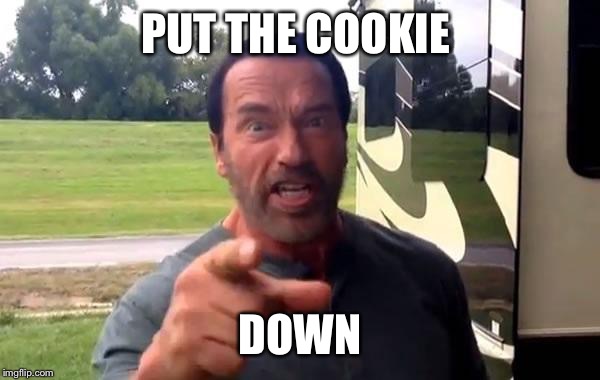Arnold Put the Cookie Down | PUT THE COOKIE DOWN | image tagged in arnold put the cookie down | made w/ Imgflip meme maker