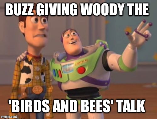 X, X Everywhere Meme | BUZZ GIVING WOODY THE 'BIRDS AND BEES' TALK | image tagged in memes,x x everywhere | made w/ Imgflip meme maker