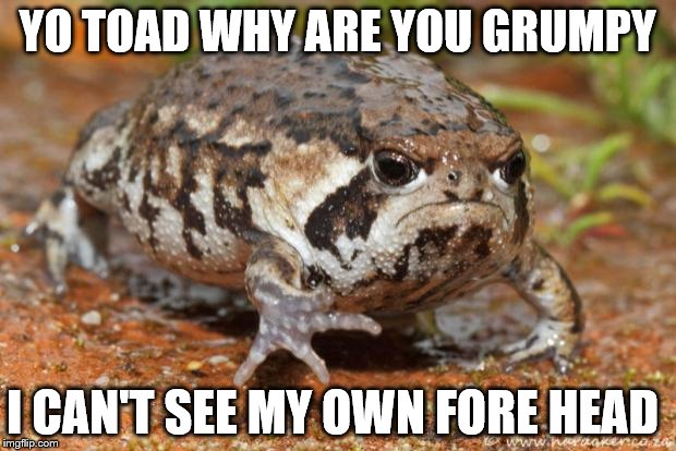 Grumpy Toad Meme | YO TOAD WHY ARE YOU GRUMPY I CAN'T SEE MY OWN FORE HEAD | image tagged in memes,grumpy toad | made w/ Imgflip meme maker
