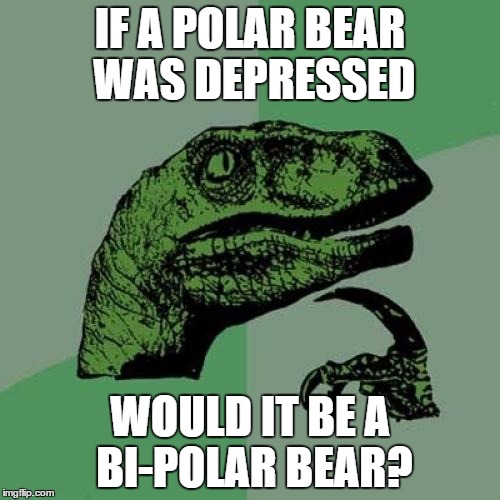 Philosoraptor Meme | IF A POLAR BEAR WAS DEPRESSED WOULD IT BE A BI-POLAR BEAR? | image tagged in memes,philosoraptor | made w/ Imgflip meme maker