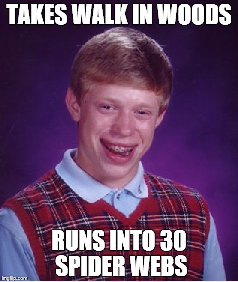 Bad Luck Brian | TAKES WALK IN WOODS RUNS INTO 30 SPIDER WEBS | image tagged in memes,bad luck brian | made w/ Imgflip meme maker