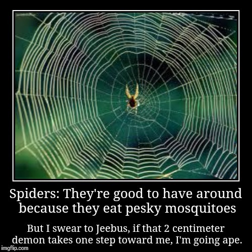 I'm sorry, Charlotte | V | image tagged in funny,memes,demotivational,spiders,so true | made w/ Imgflip meme maker