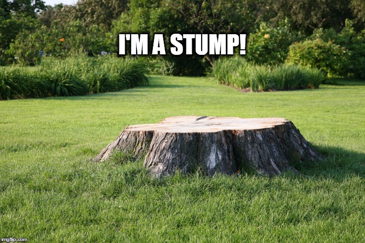 I'M A STUMP! | made w/ Imgflip meme maker