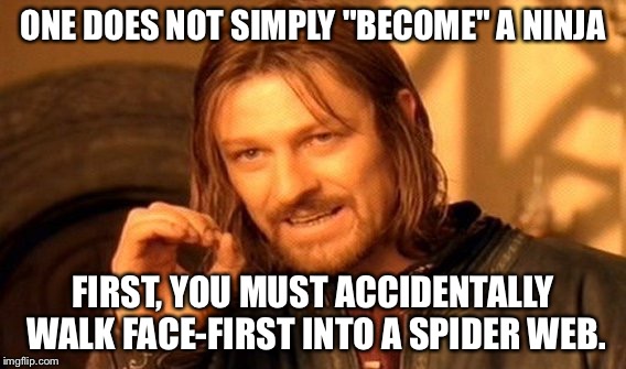 One Does Not Simply Become a Ninja | ONE DOES NOT SIMPLY "BECOME" A NINJA FIRST, YOU MUST ACCIDENTALLY WALK FACE-FIRST INTO A SPIDER WEB. | image tagged in memes,one does not simply,ninja,funny | made w/ Imgflip meme maker