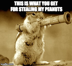 rocket squirrel  | THIS IS WHAT YOU GET FOR STEALING MY PEANUTS | image tagged in funny memes | made w/ Imgflip meme maker