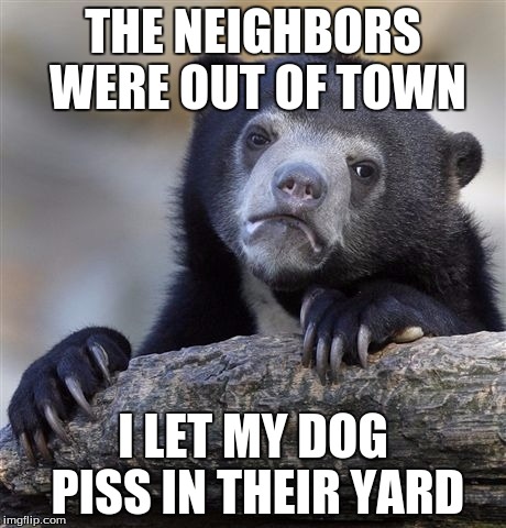 Confession Bear Meme | THE NEIGHBORS WERE OUT OF TOWN I LET MY DOG PISS IN THEIR YARD | image tagged in memes,confession bear | made w/ Imgflip meme maker