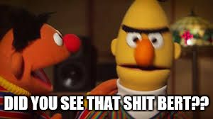 Bert and Ernie  | DID YOU SEE THAT SHIT BERT?? | image tagged in bert and ernie  | made w/ Imgflip meme maker