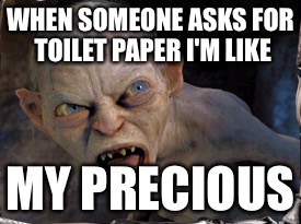 Gollum lord of the rings | WHEN SOMEONE ASKS FOR TOILET PAPER I'M LIKE MY PRECIOUS | image tagged in gollum lord of the rings | made w/ Imgflip meme maker