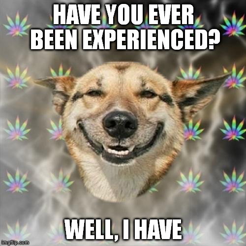 Stoner Dog | HAVE YOU EVER BEEN EXPERIENCED? WELL, I HAVE | image tagged in memes,stoner dog | made w/ Imgflip meme maker